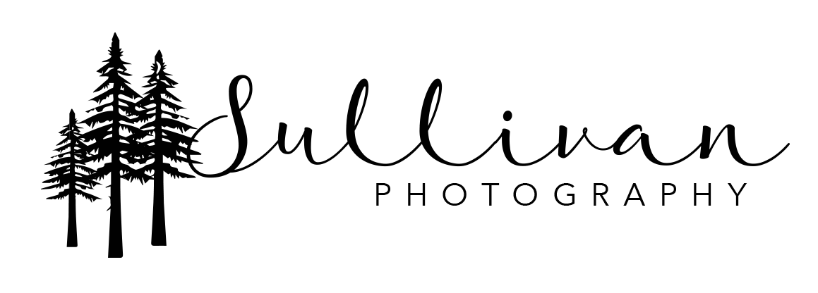 Knoxville Wedding Photographers :: Sullivan Photography Knoxville Wedding Photographer, Family Photography in Knoxville TN 